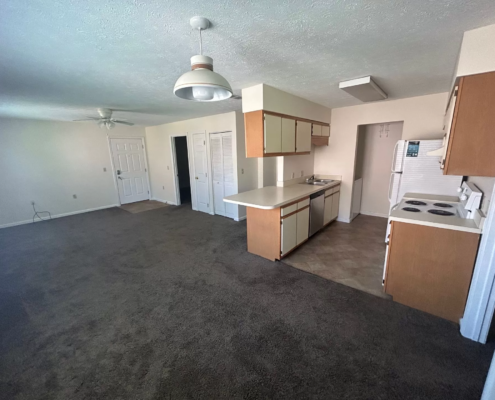 Bridgeport Landing Apartments Living Room and Kitchen Detail