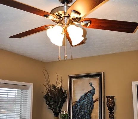 Sterling Ridge Ceiling Fan Detail